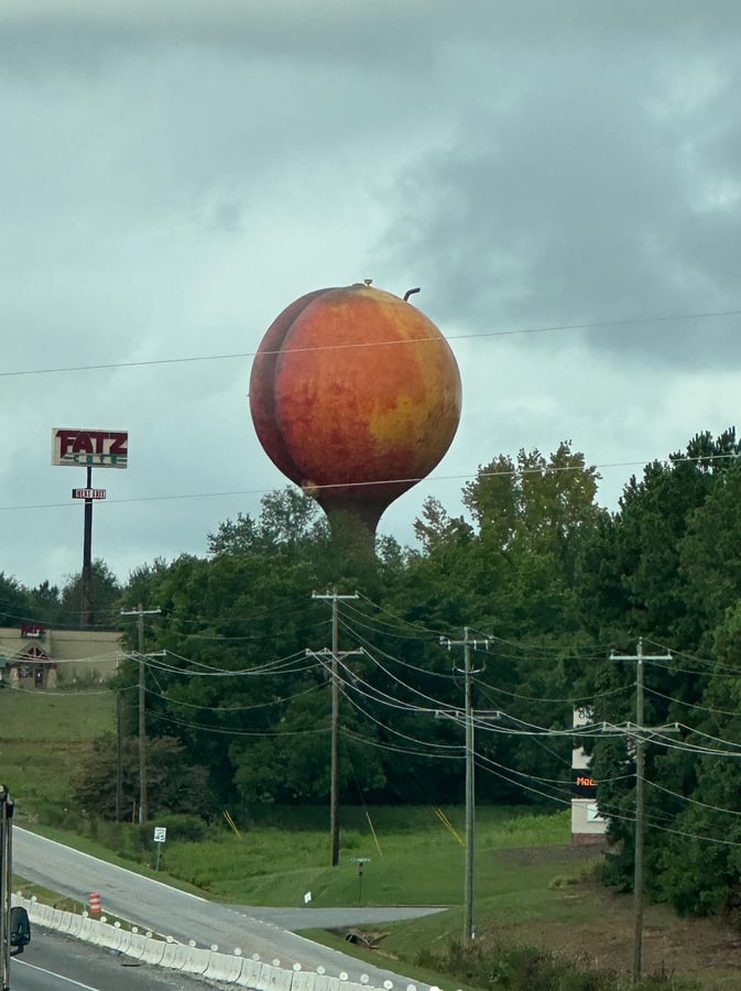 The Peachoid SC