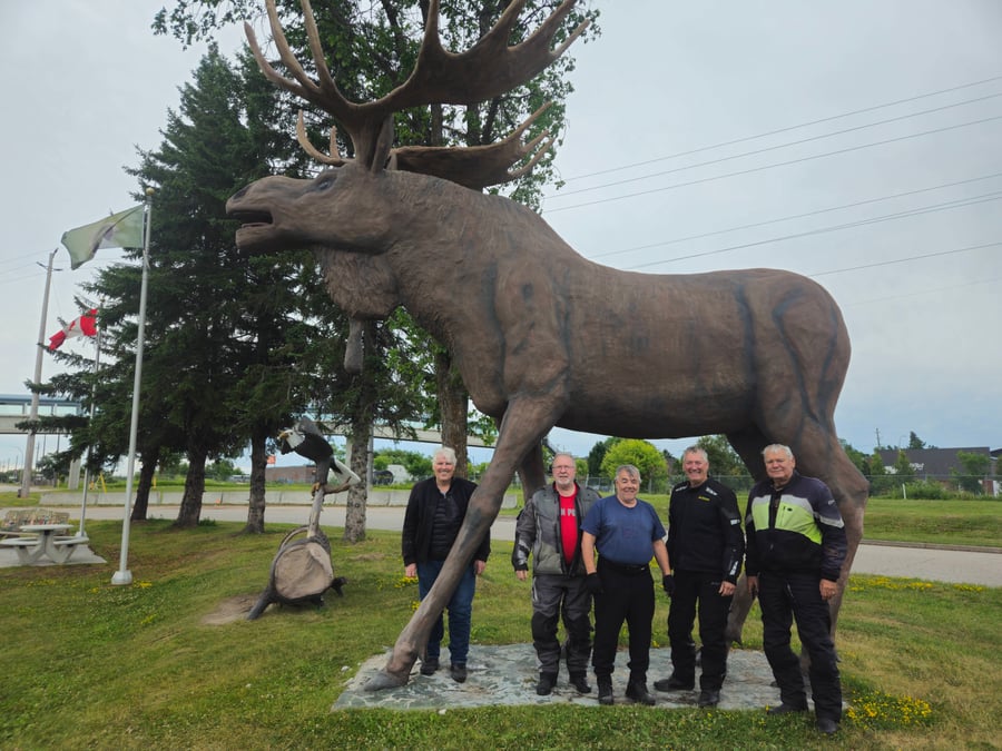 Max the Moose ON