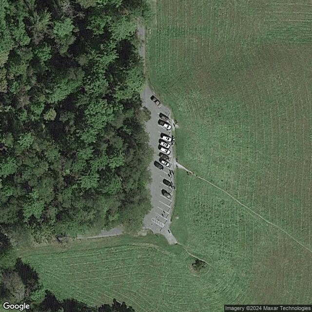 Pearl Harbor Tree Cades Cove TN