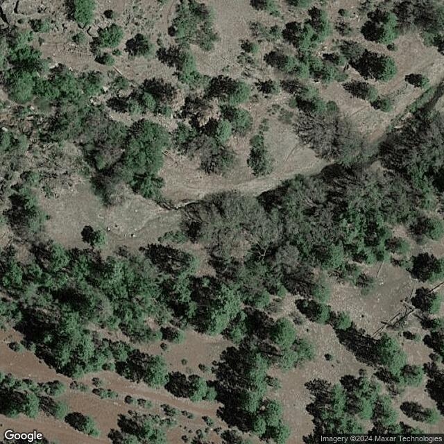 Picture Canyon AZ