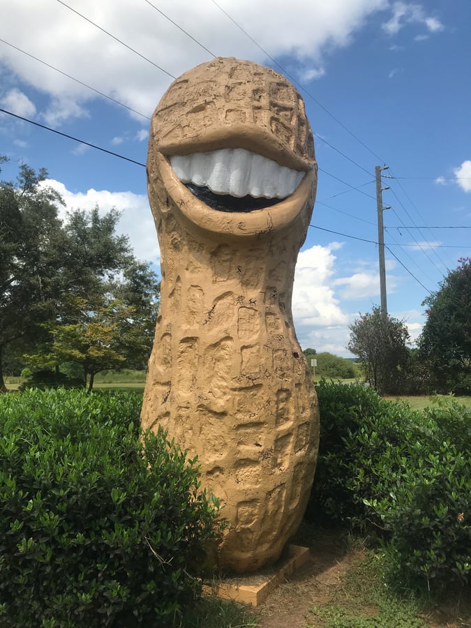 Jimmy Carter Smiling Peanut GA