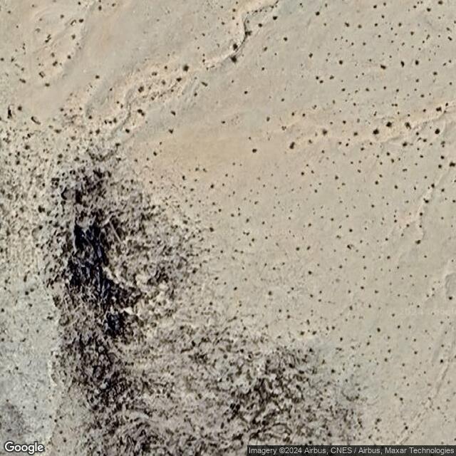 Mojave Megaphone CA