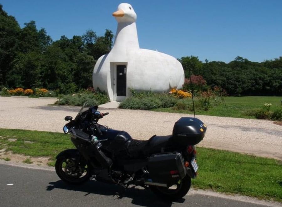 The Big Duck NY