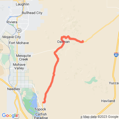 AZ 66 | Mohave Rattlesnake