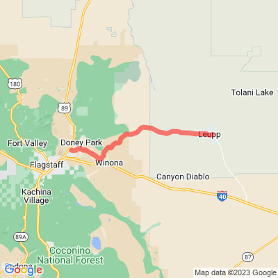 AZ Coconino Forest