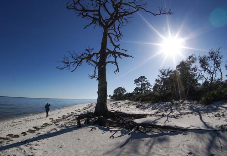 Alligator Point - Bald Point State Park FL