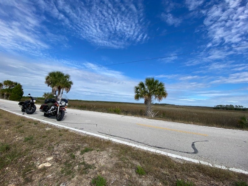 Aripeka Sandhills Preserve Overlook FL