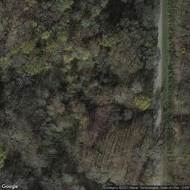 Doyle Road Covered Bridge OH