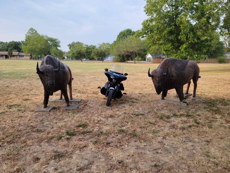 Quinlan Bison Statues TX