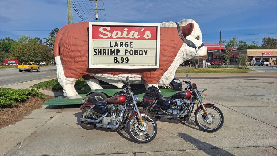 Saia's Cow LA