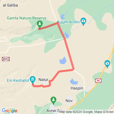 Gamla Falls to Ein Keshatot