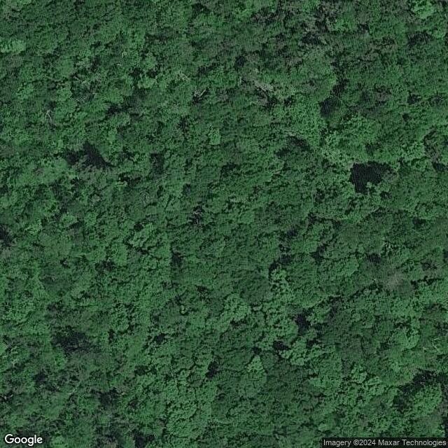 Crawford Notch State Park NH
