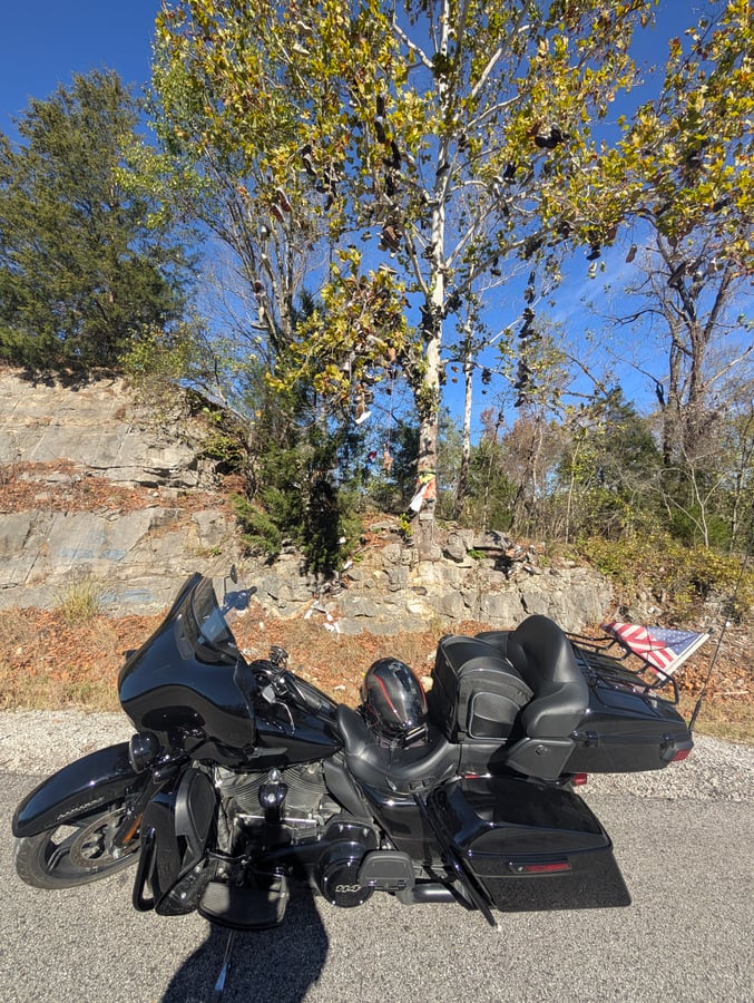 Shoe Tree Cherokee AL