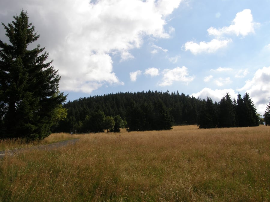 Božídarský Špičák (1115 m)