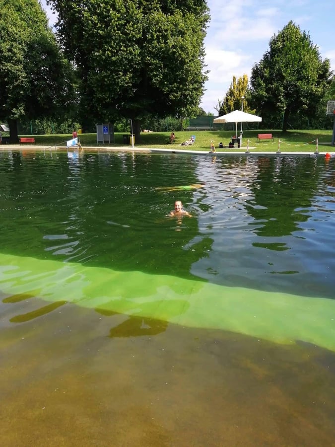 Přírodní koupaliště Litovel - biotop