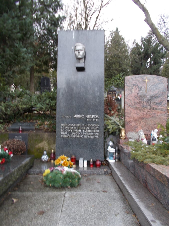 Mirko Nešpor