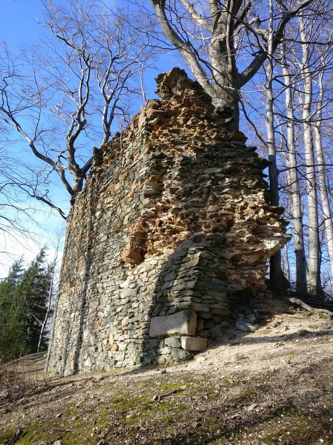 Zřícenina hradu Roimund