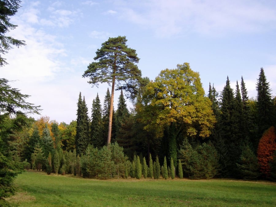 Arboretum Řícmanice
