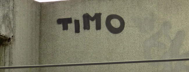 Timo