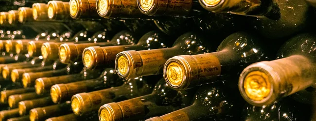 Wine of Czechia | Víno z Česka