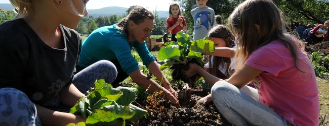 Školní zahrady / School Gardens
