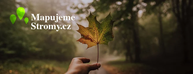Mapujeme stromy