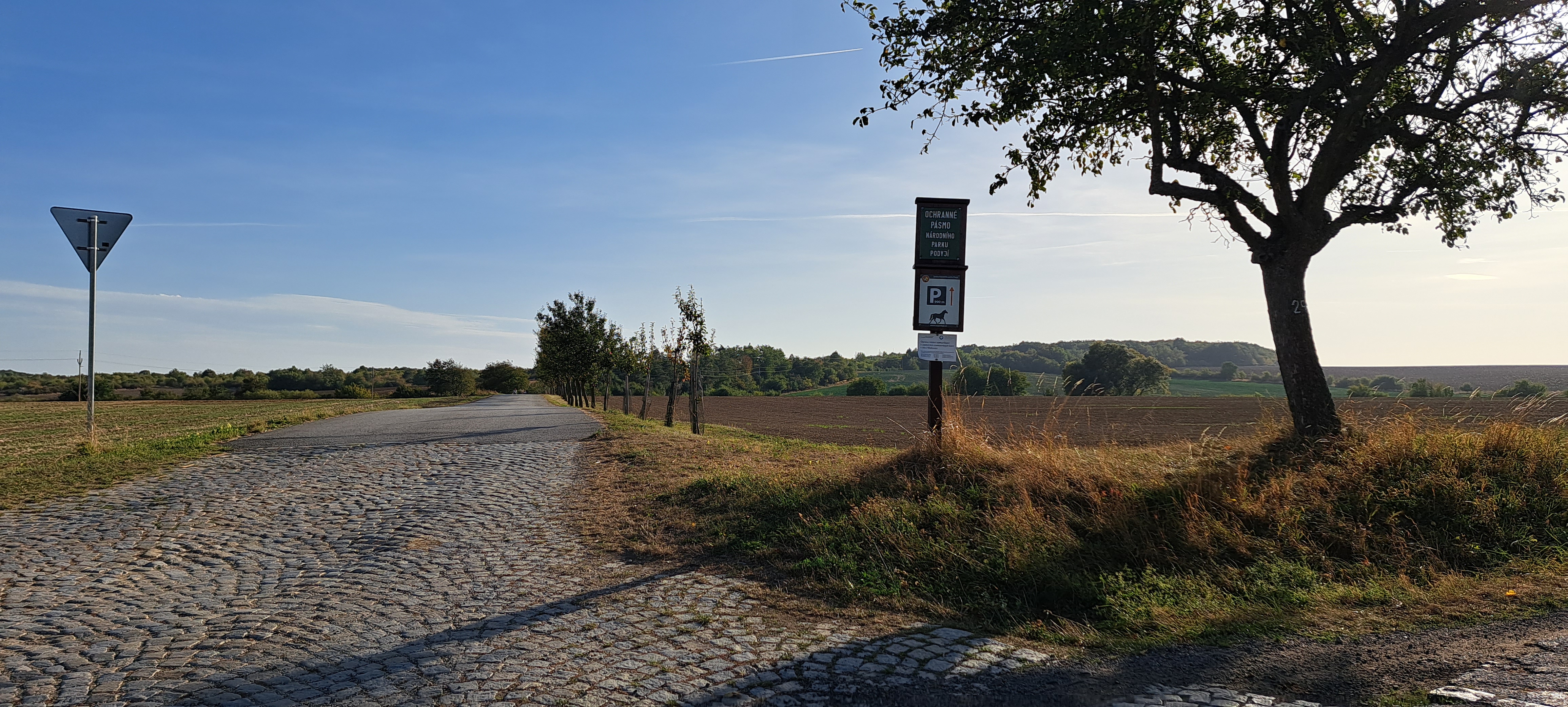 Exmoorský pony, Mašovice, Podyjí