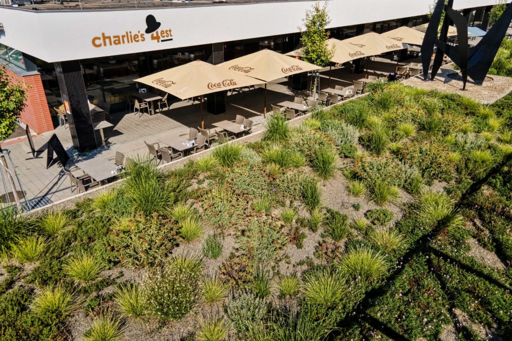 Restaurace Charlie’s 4est, Brno - Lesná