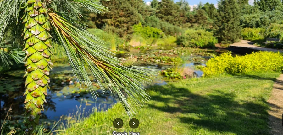 Dendrologická zahrada Průhonice