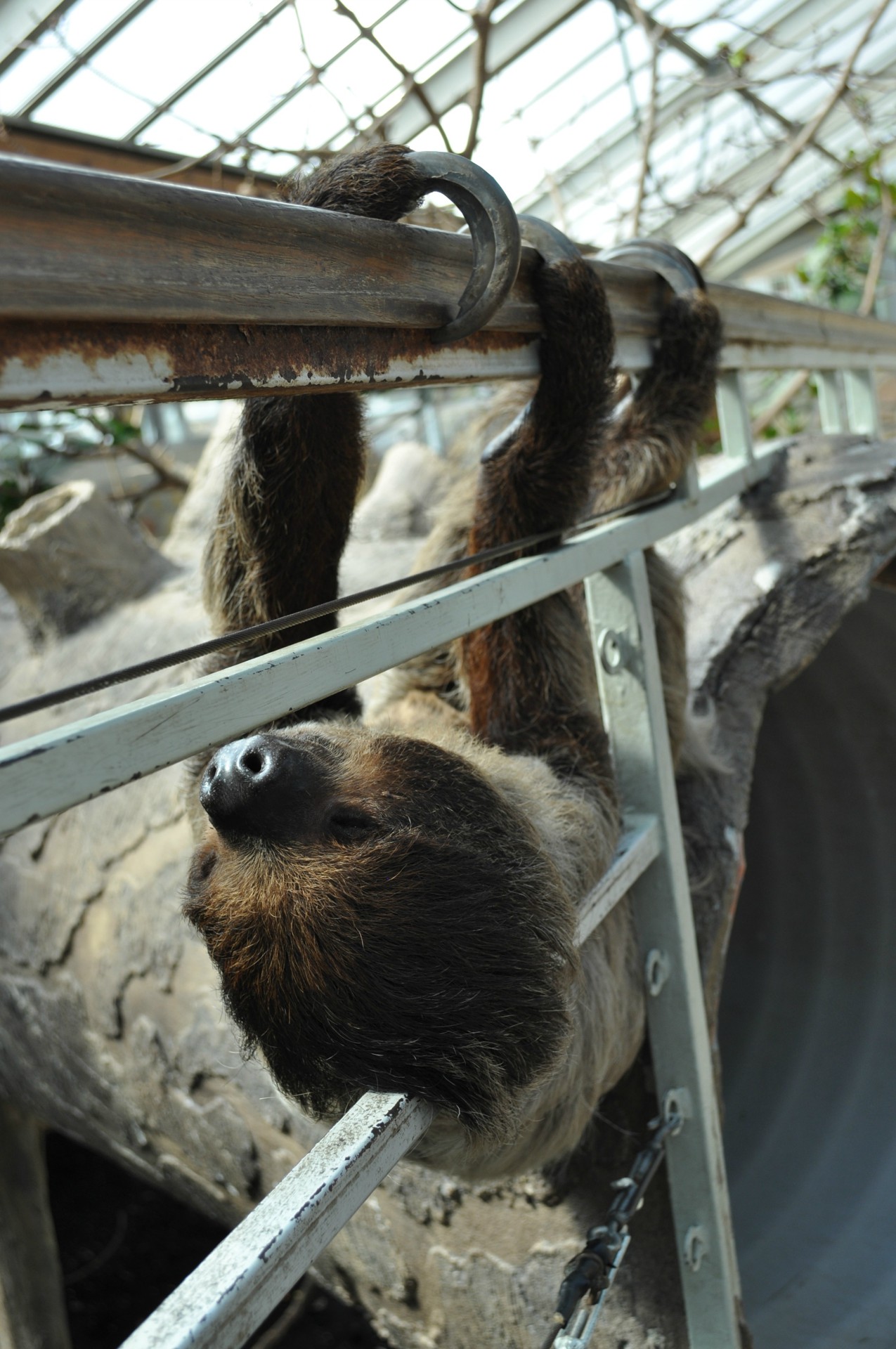 ZOO Budapešť + botanická zahrada