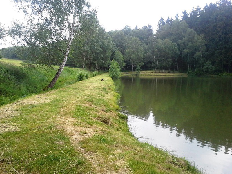 Rybářský revír 411 120 BRODSKÝ – MO Kladruby u Vlašimi