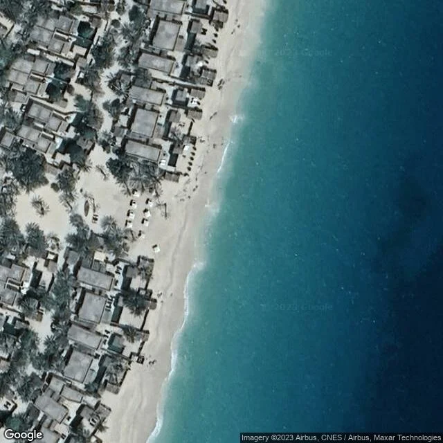 Olive Ridley Project Oman