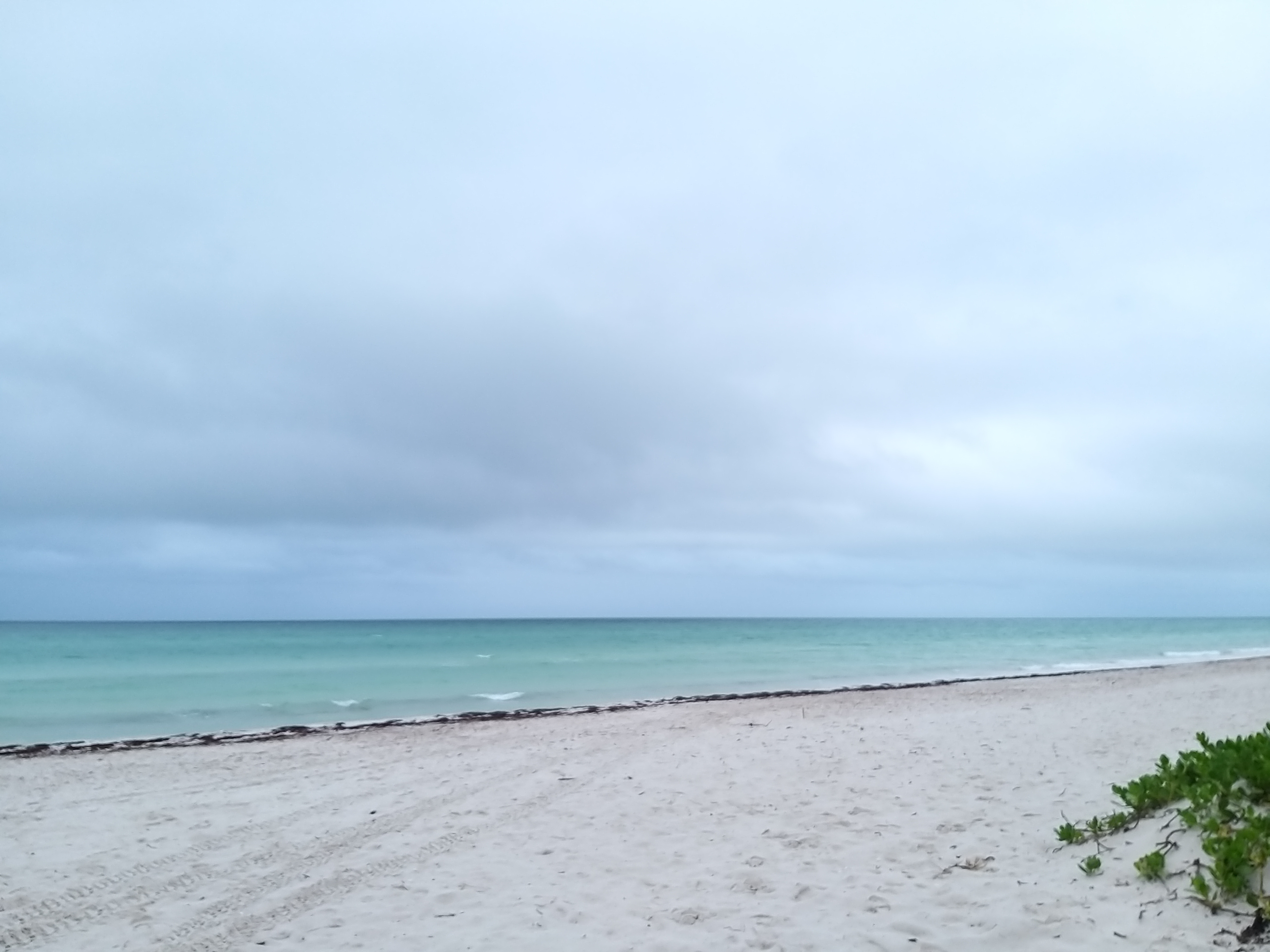 Pronatura Península de Yucatán, A. C.