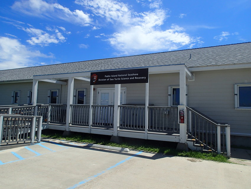 Padre Island National Seashore - Division of Sea Turtle Science and Recovery