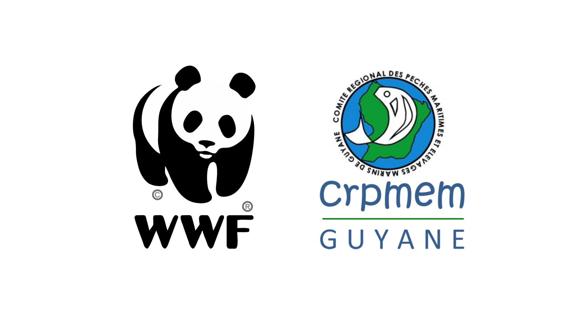 WWF