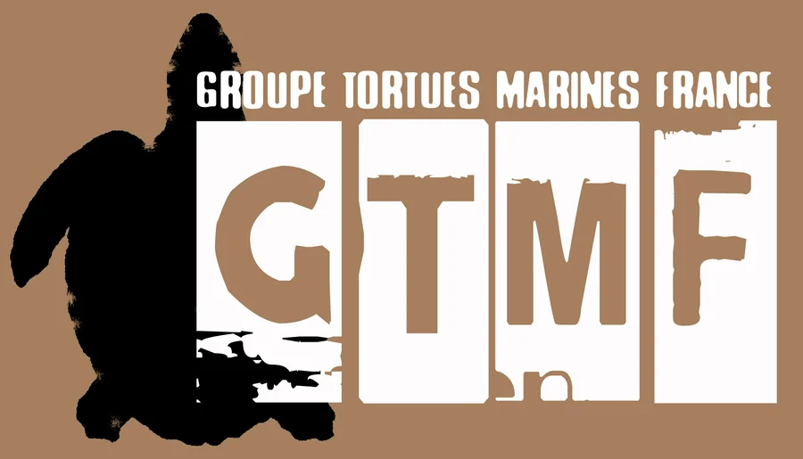 GROUPE TORTUES MARINES FRANCE
