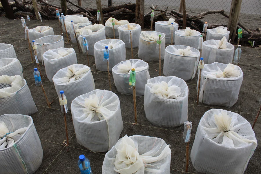 Fundación Agua y Tierra