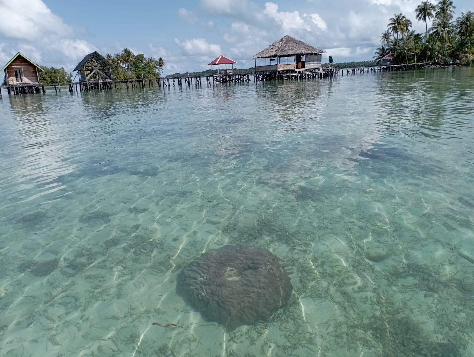 Fifan Archipelago Foundation