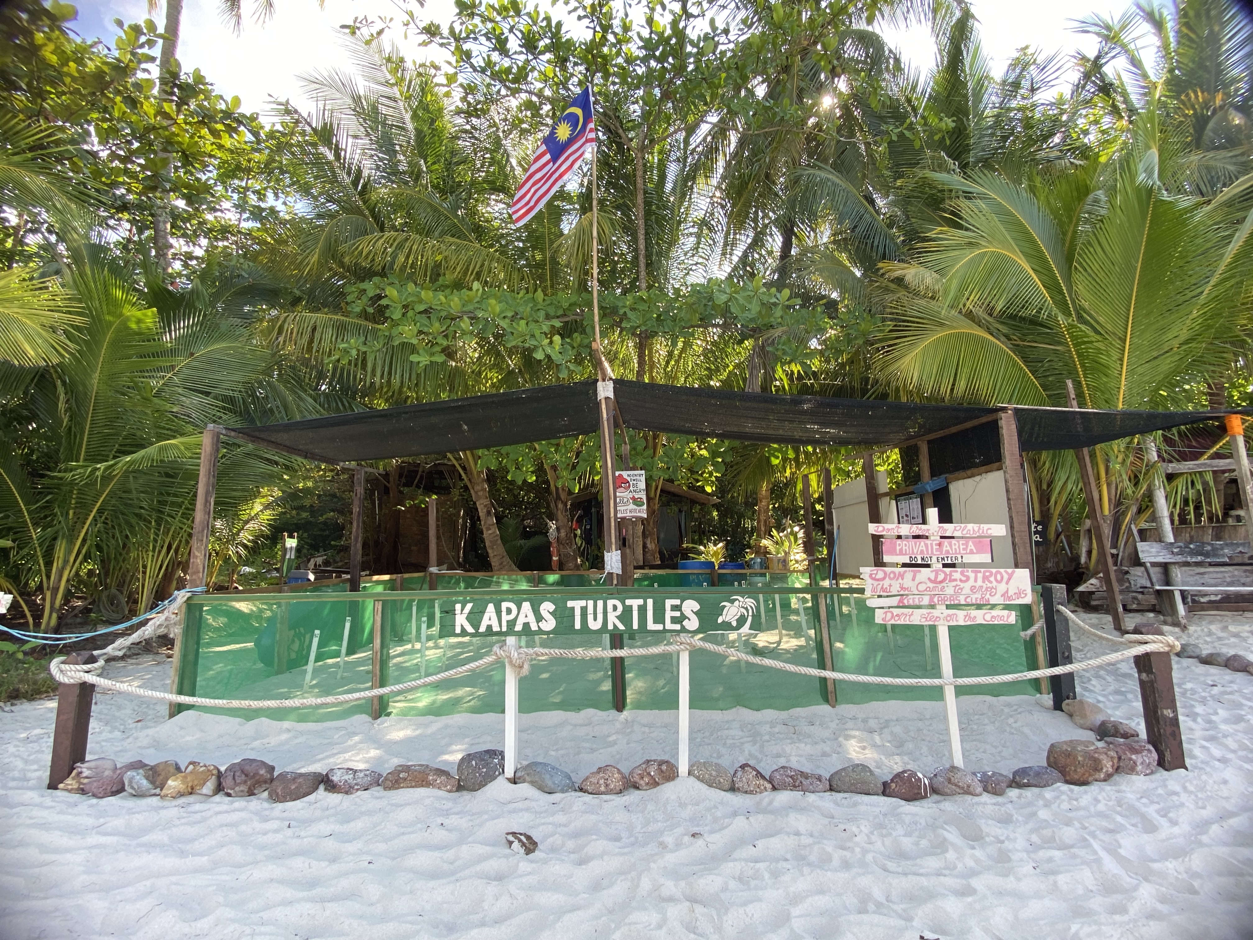 KAPAS TURTLES