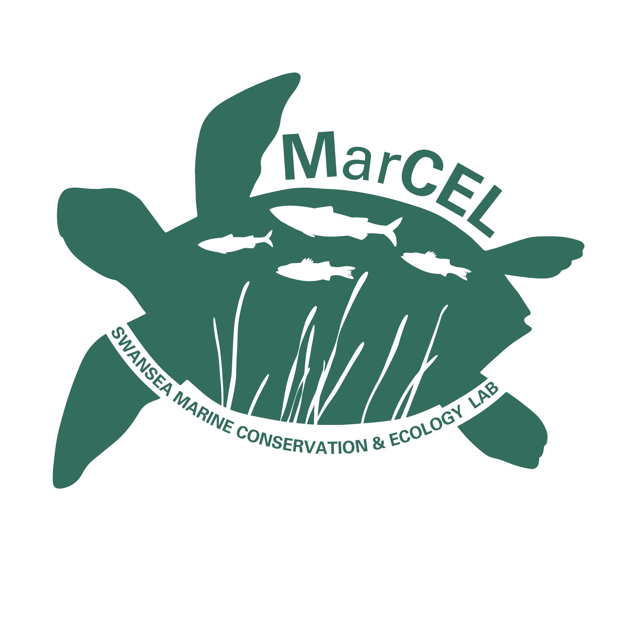 MarCEL