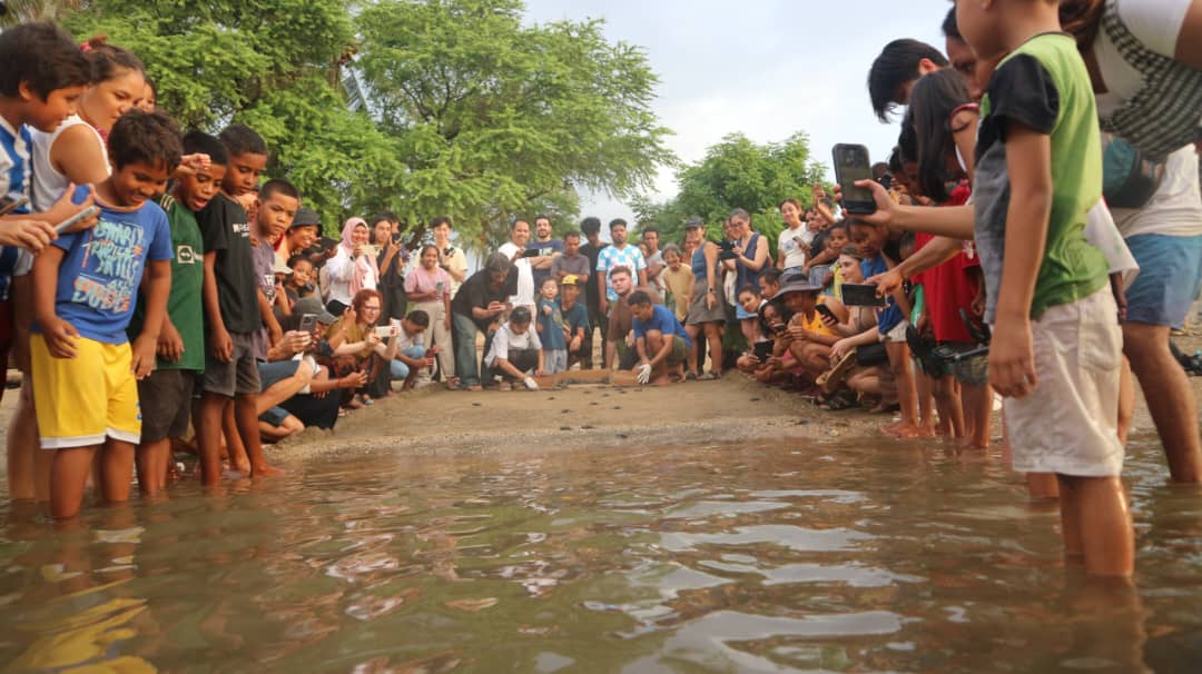 Lenuk-Tasi (sea turtle rescue and conservation center)