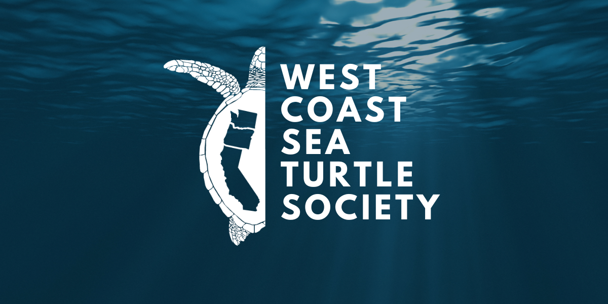 West Coast Sea Turtle Society