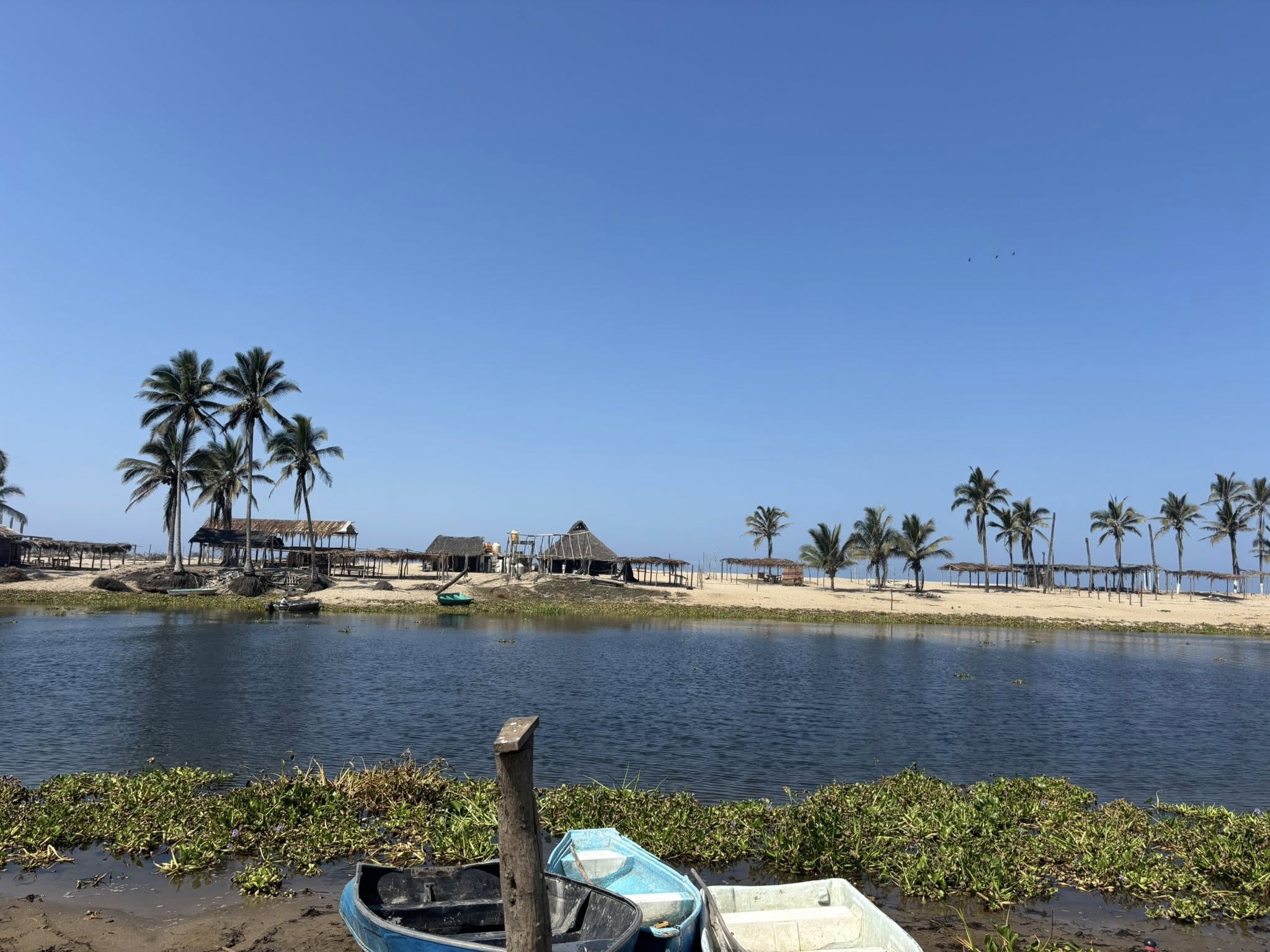 Majahuas Sea Turtle Conservation Project (Campamento tortuguero)