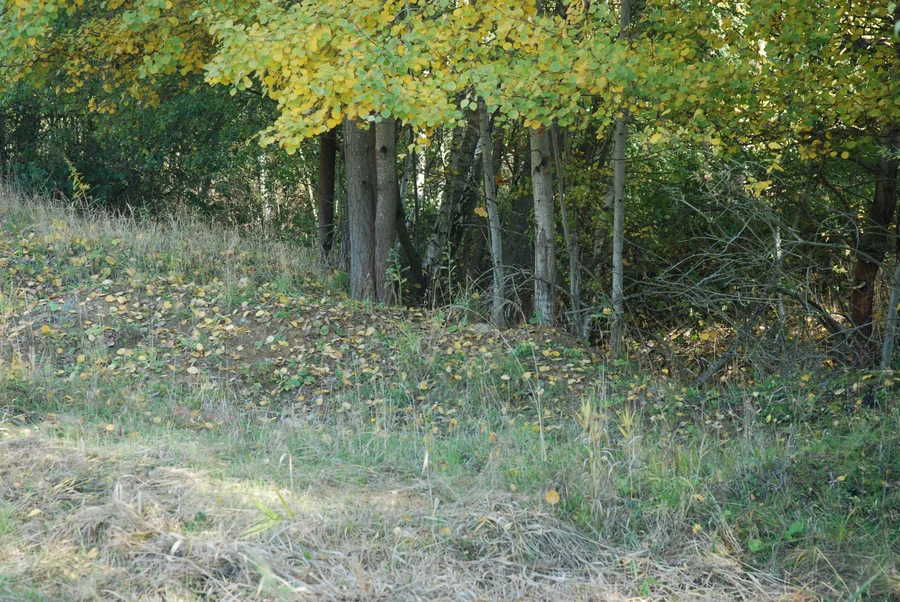 Běleč