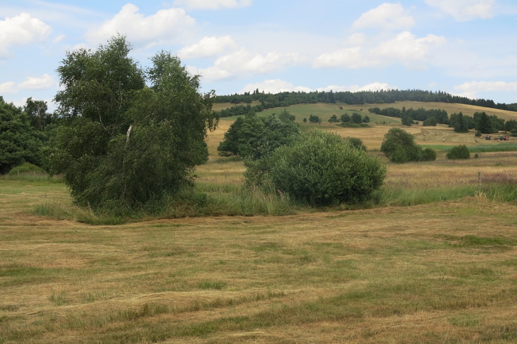 Červená Voda