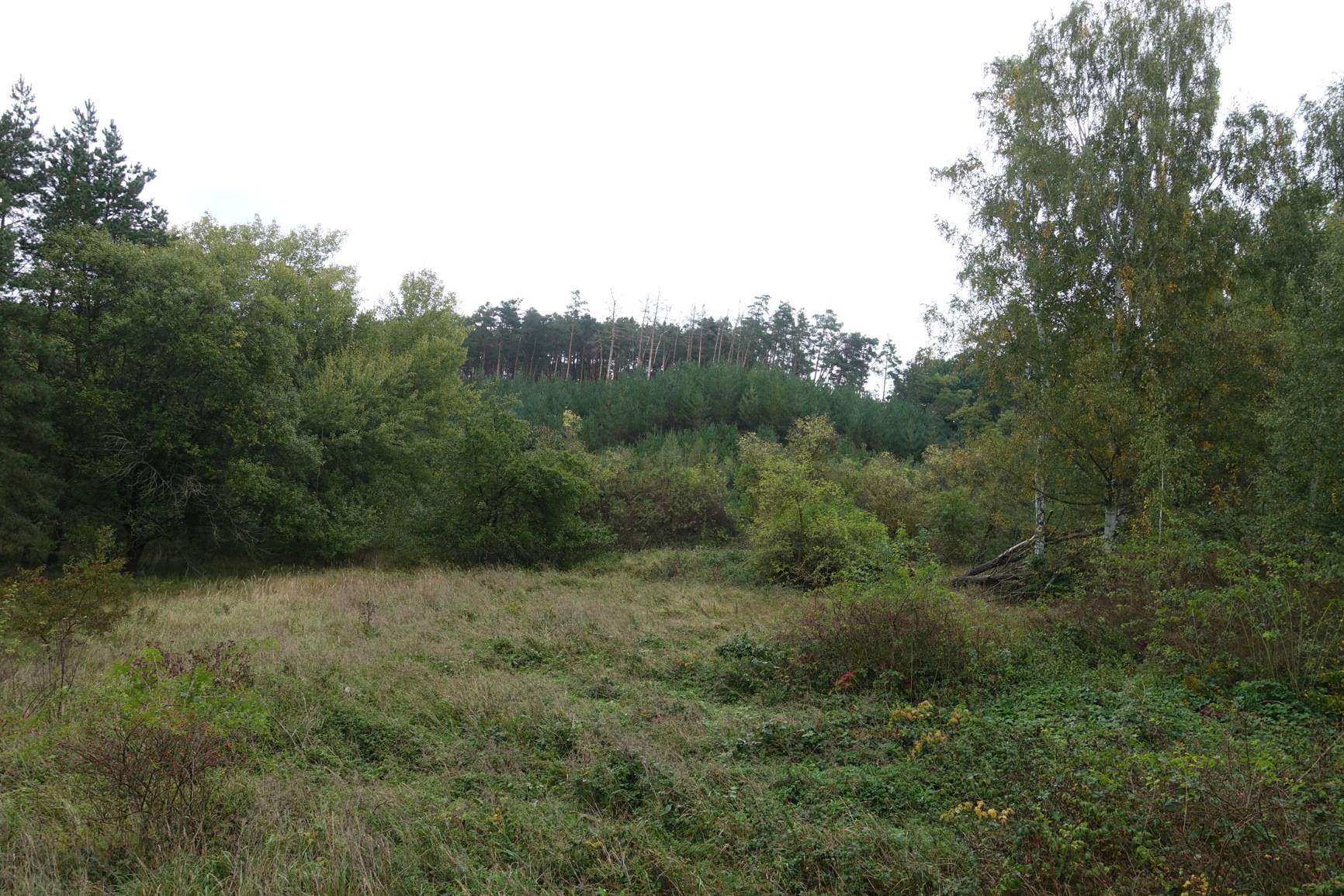 Libovice