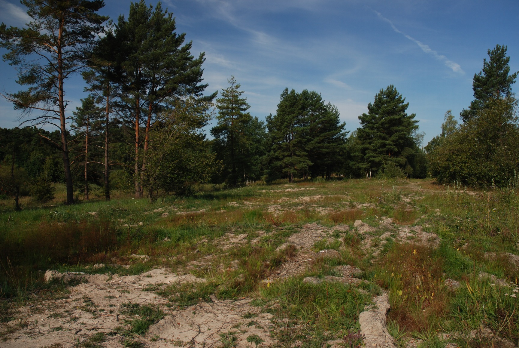 Hradec Králové - Plachta
