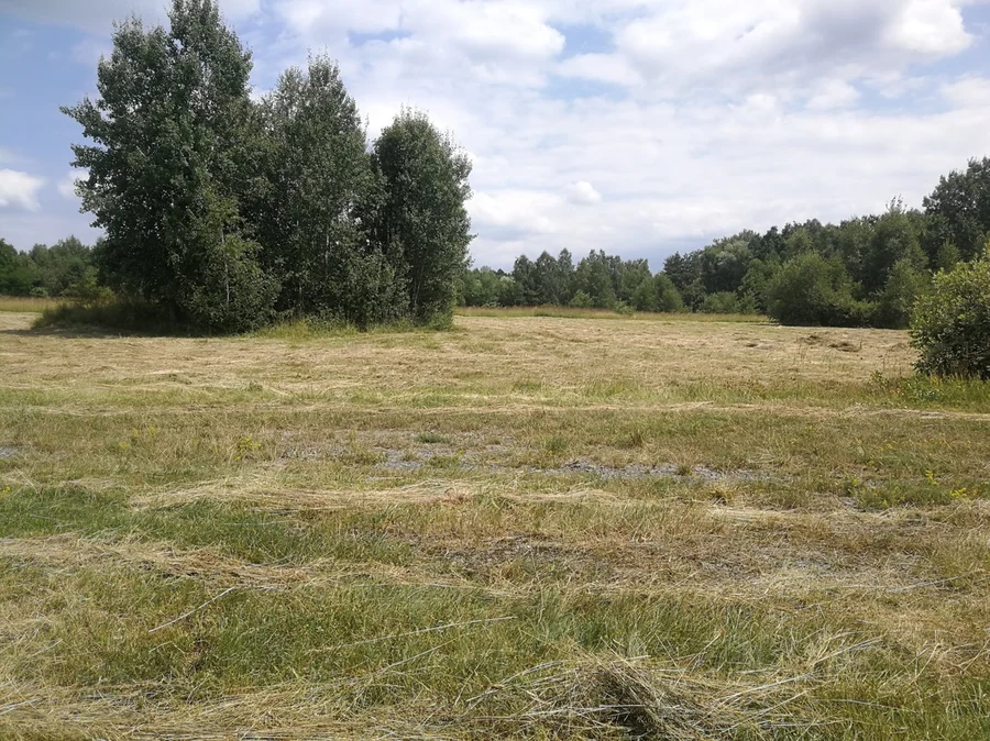 Přáslavice