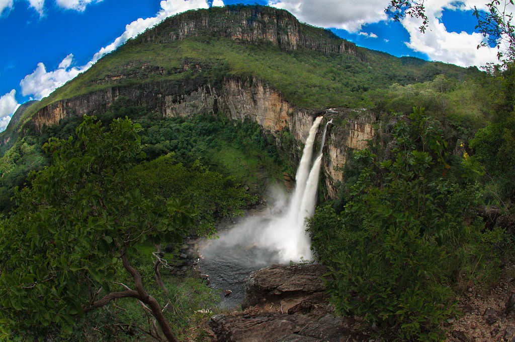Cerrado Protected Areas: Chapada dos Veadeiros and Emas National Parks