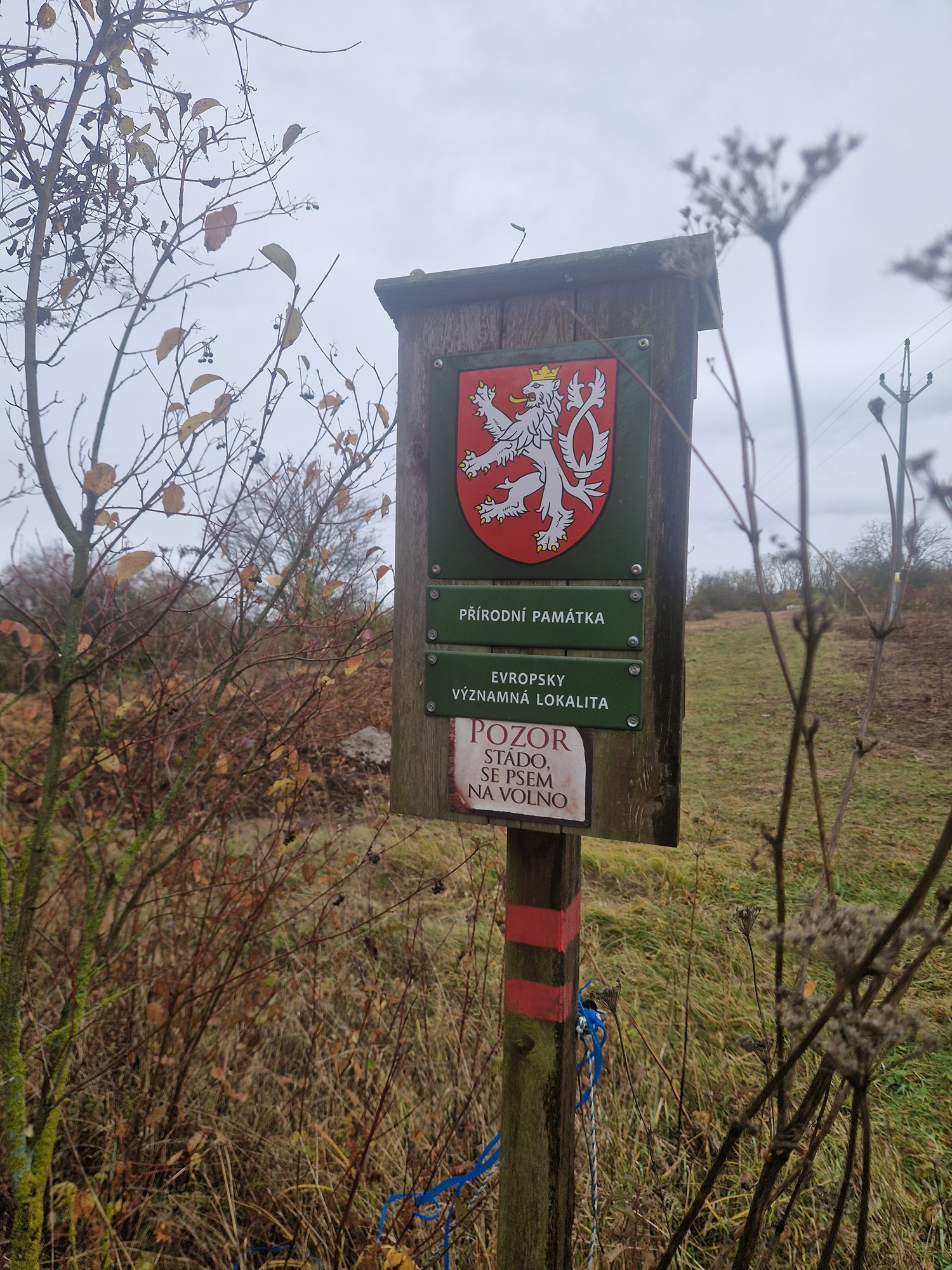 Přírodní památka  Skalky u Sedlece